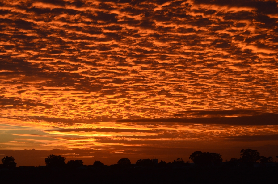 0 Bedroom Property for Sale in Steenbergs Cove Western Cape